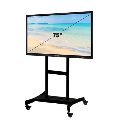 acer (50).webp