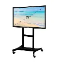 acer (50).webp